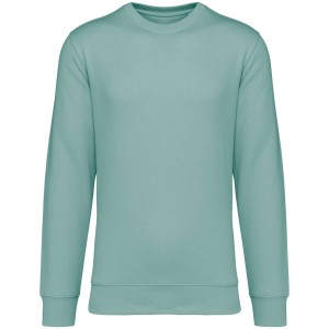 Native Spirit Drifter pul�ver, Jade Green